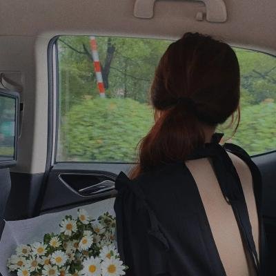 十二生肖城市英雄